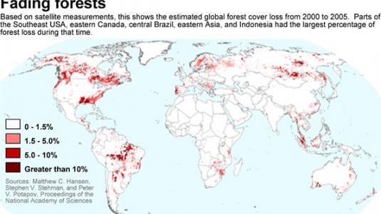 deforestation.jpg