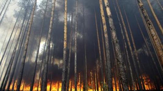 russia-fires_1689121c.jpg