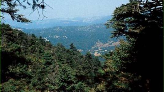 parnitha.jpg