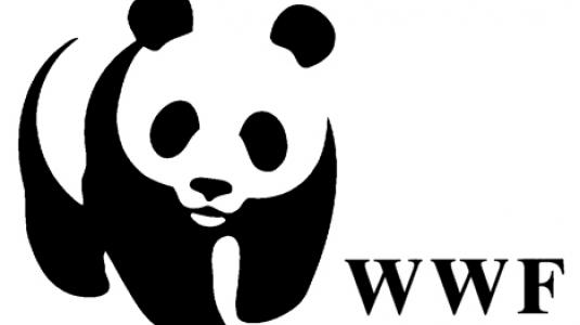 wwf.jpg