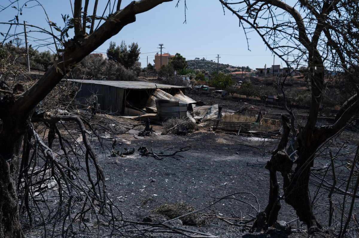 Σπίτια, αποθήκες και κτίρια κάηκαν από τη φωτιά στη Χασιά, 25.08.2023 (ΒΙΚΤΩΡΑΣ ΑΝΤΩΝΟΠΟΥΛΟΣ/TVXS)