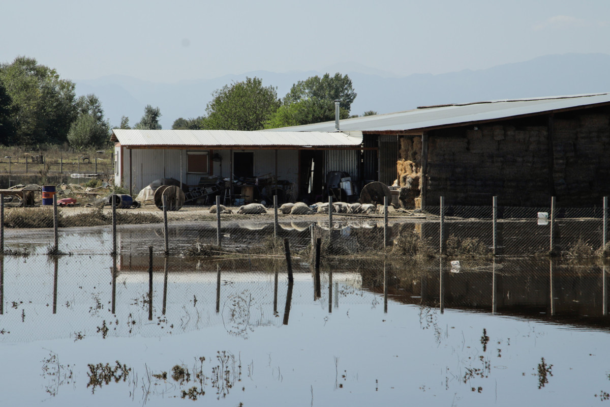 Πλημμύρες στη Θεσσαλία  – Αποστολή tvxs/ Νεκροταφείο ζώων ο κάμπος και κανείς δεν ξέρει για πόσο