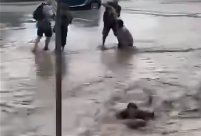 Κακοκαιρία Daniel / Πολίτες παλεύουν να σωθούν από τα ορμητικά νερά στο κέντρο της Αθήνας [Βίντεο]