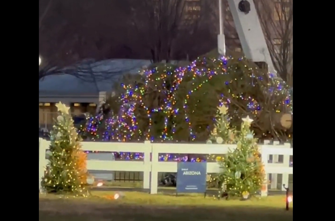 ΗΠΑ / Άνεμοι γκρέμισαν το Χριστουγεννιάτικο δέντρο μπροστά από τον Λευκό Οίκο