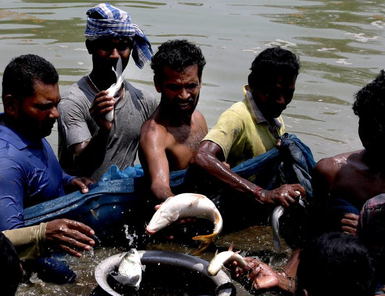 Ινδοί ψαράδες χρησιμοποιούν δίχτυα για να πιάσουν ψάρια στην ανατολική Ινδία, εν μέσω συναγερμού για καύσωνα