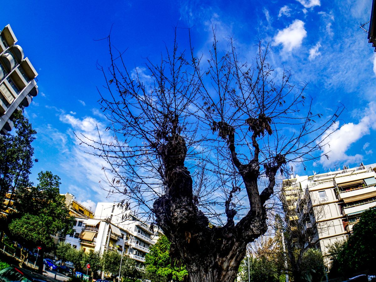  (ΓΙΩΡΓΟΣ ΚΟΝΤΑΡΙΝΗΣ/EUROKINISSI)