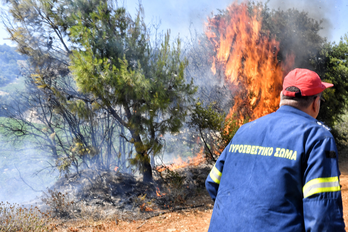 Πυροσβέστες σε προσπάθεια κατάσβεσης φωτιάς (ΒΑΣΙΛΗΣ ΨΩΜΑΣ/EUROKINISSI)