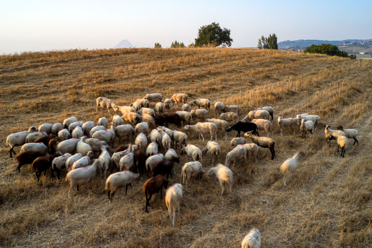 (ΑΝΤΩΝΗΣ ΝΙΚΟΛΟΠΟΥΛΟΣ/EUROKINISSI)