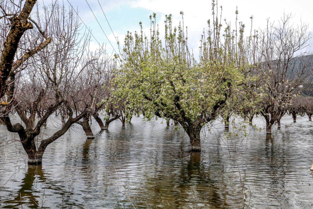 Λίμνη Κάρλα / Δορυφορικές εικόνες, έναν χρόνο μετά την κακοκαιρία Daniel