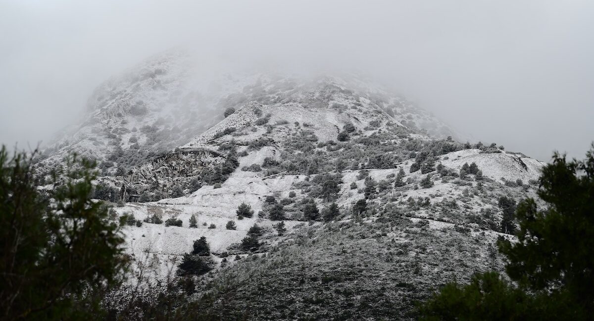 (ΜΙΧΑΛΗΣ ΚΑΡΑΓΙΑΝΝΗΣ / EUROKINISSI)