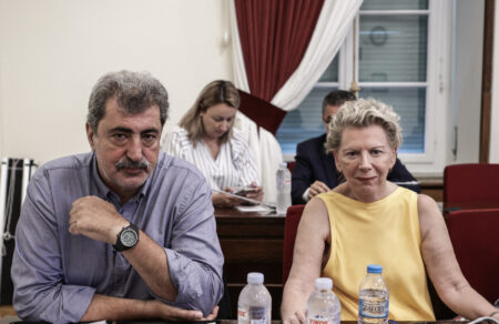 voyli-arsi-asylias-gia-polaki-akrita-eisigeitai-i-epitropi-deontologias-601099