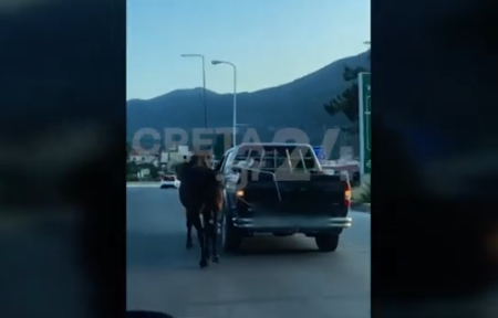 kriti-edese-alogo-me-schoini-sto-aytokinito-kai-to-eserne-619902