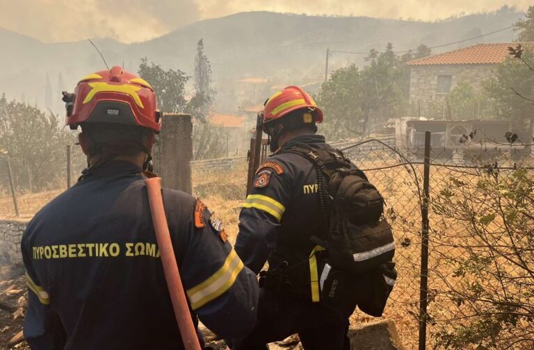 Φωτιές / Πυρά αντιπολίτευσης για τον ελλιπή σχεδιασμό στην Πολιτική Προστασία
