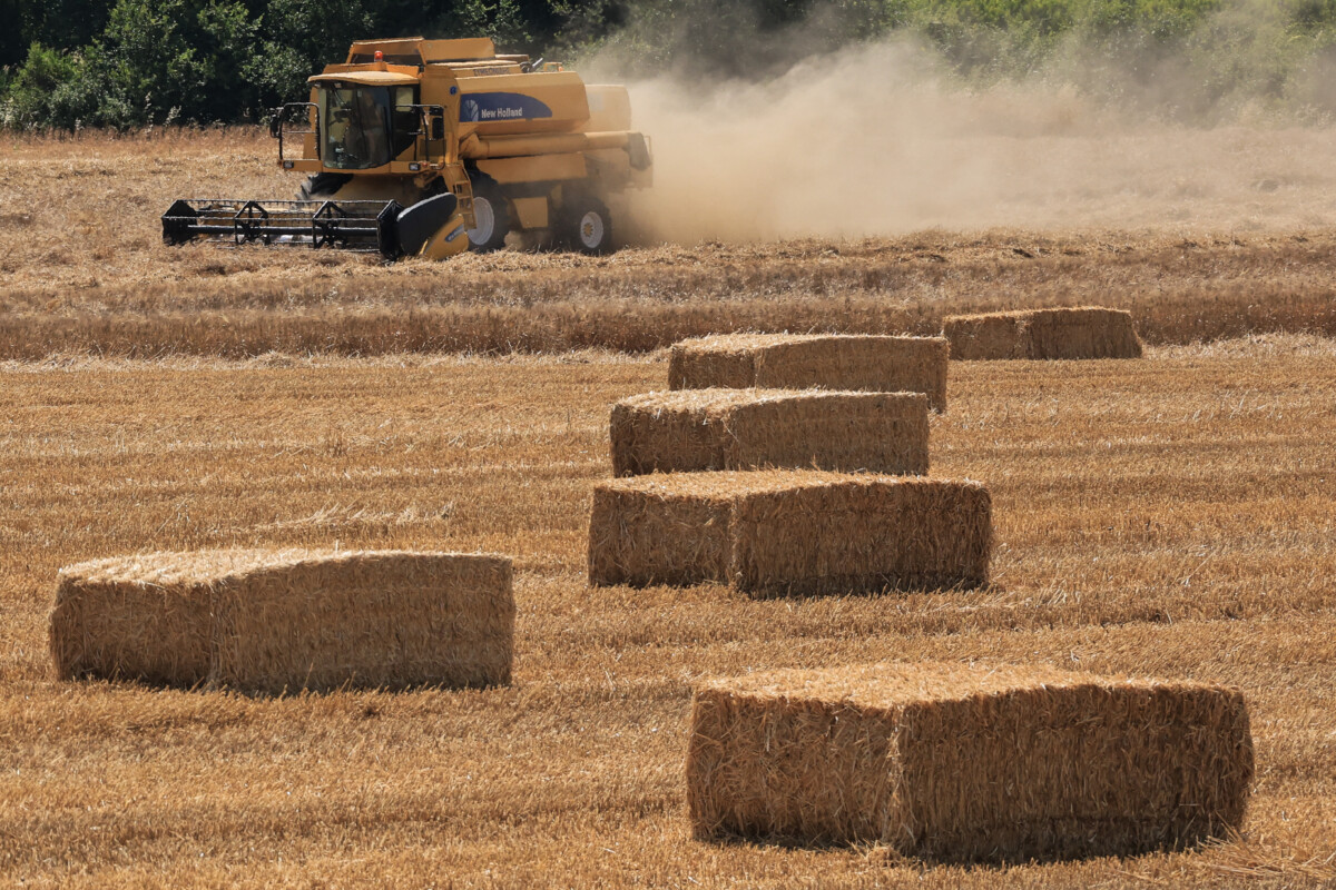 Θεσσαλικός κάμπος