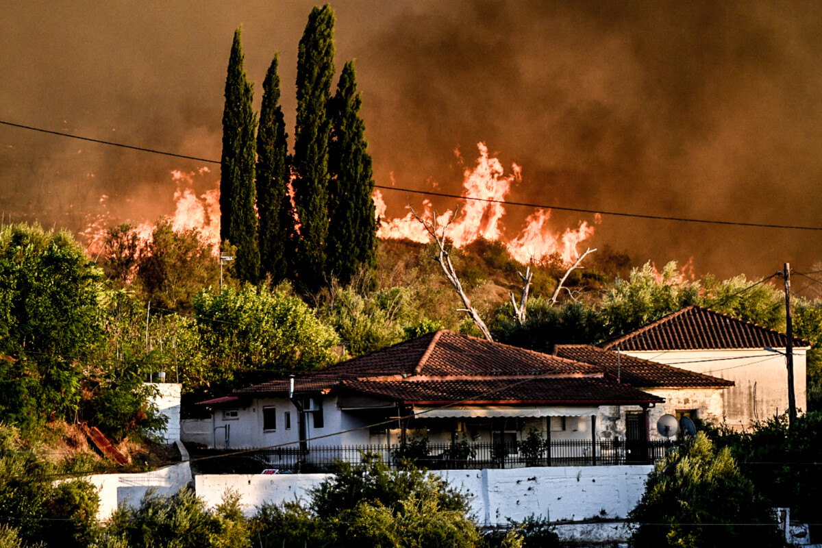 Πυρκαγιά στη περιοχή Χελιδόνι στην Αρχαία Ολυμπία. Παρασκευή 8 Αυγούστου 2025.  (ΓΙΑΝΝΗΣ ΣΠΥΡΟΥΝΗΣ/ILIALIVE.GR/EUROKINISSI)