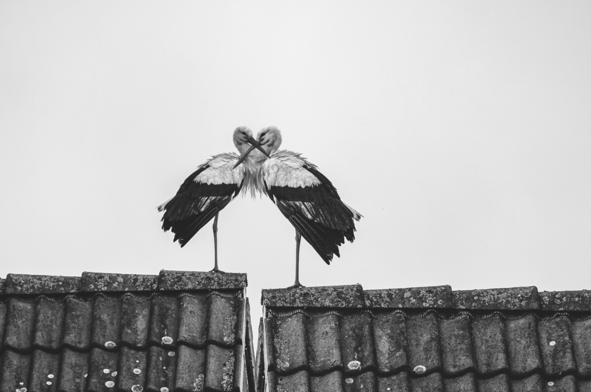 Unsplash