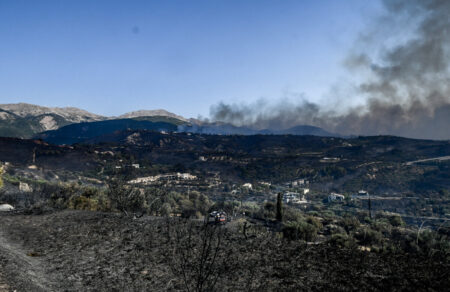 foties-stachti-pano-apo-100-000-stremmata-se-achaia-chio-zakyntho-kai-preveza-doryforikes-eikones-646799
