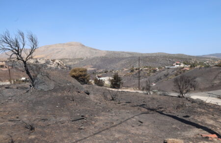 foties-stachti-pano-apo-15-000-stremmata-stin-anatoliki-attiki-doryforiki-eikona-645021