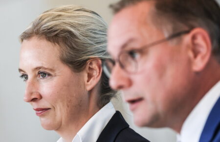 germania-itta-toy-afd-kai-stoys-treis-dimoys-poy-diekdikoyse-stis-topikes-ekloges-665278
