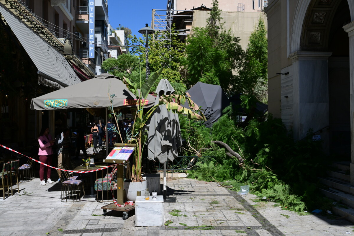 (ΤΑΤΙΑΝΑ ΜΠΟΛΑΡΗ / EUROKINISSI)