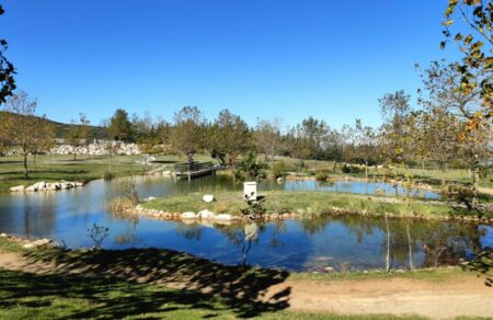 voiotia-limni-moyson-mia-apodrasi-sti-fysi-vinteo-675615