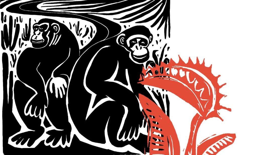 ΒιβλιοΝίκη / Όταν ο τυφώνας σαρώνει «Τέκνα, Γονείς και Χιμπατζήδες» και δεν μένει τίποτα όρθιο