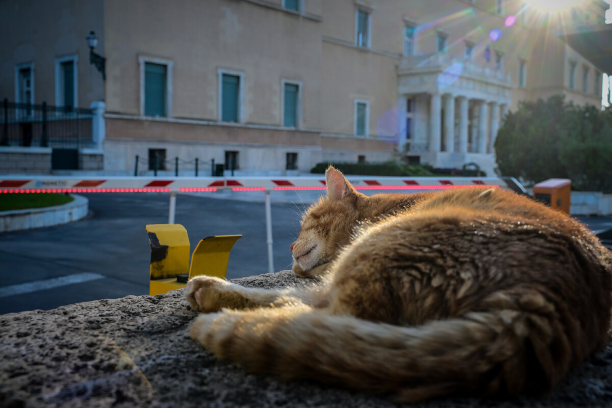 ΤΑΤΙΑΝΑ ΜΠΟΛΑΡΗ/EUROKINISSI