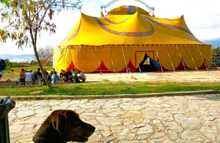festival-tsirkoy-o-empneystis-toy-mila-gia-to-sygchrono-koinoniko-tsirko-poy-eleipe-apo-tin-ellada-686138