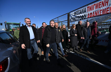 androylakis-sto-mploko-ton-agroton-sta-trikala-epithesi-kata-tis-kyvernisis-697821