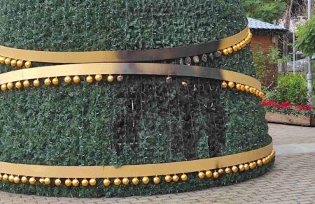 chios-synelifthi-23chronos-poy-ithele-na-kapsei-to-christoygenniatiko-dentro-toy-dimoy-696438