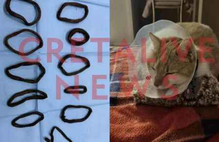 irakleio-cheiroyrgithike-atakto-gati-poy-katapie-11-lastichakia-mallion-715254