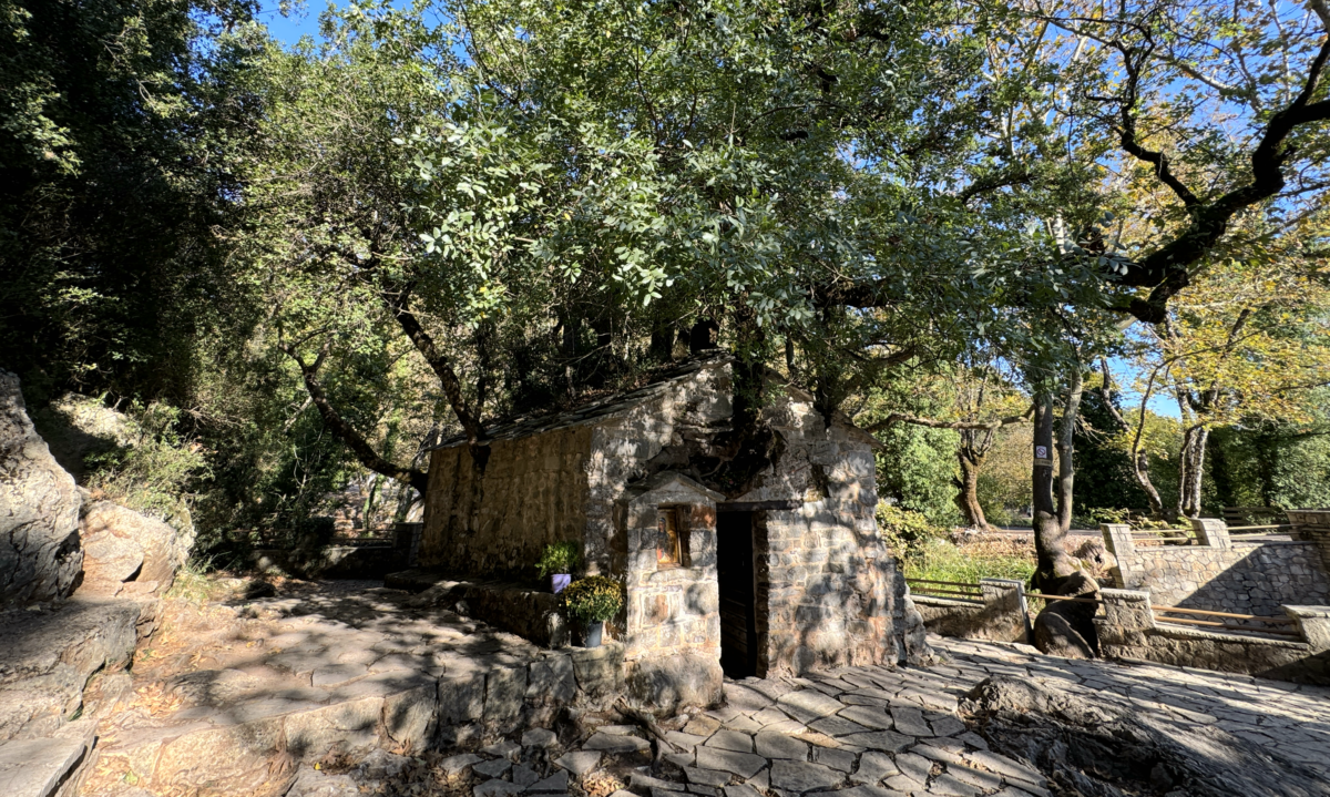 Αρκαδία / Η εκκλησία με τα δέντρα στη στέγη [Βίντεο]