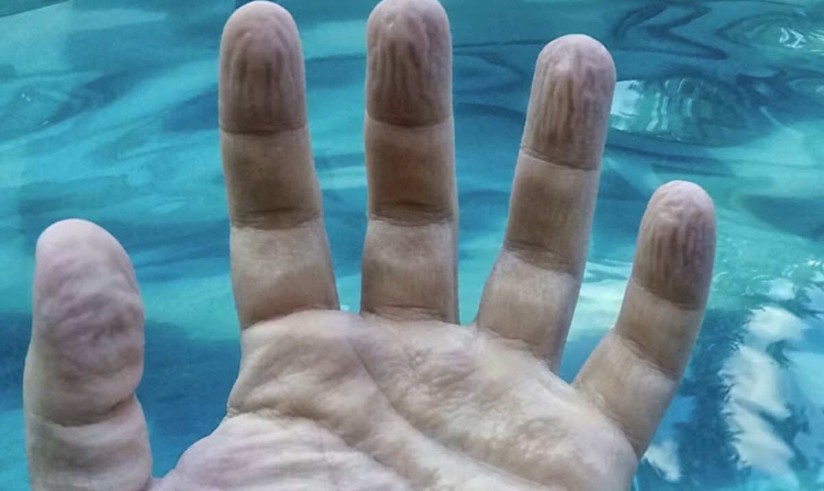 Screenshot via YouTube