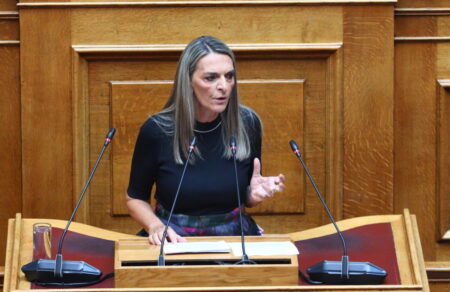 nea-aristera-i-peti-perka-nea-proedros-tis-koinovoyleytikis-omadas-743706