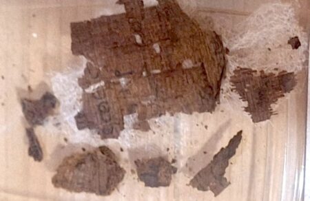 anakalypsi-pos-katelixe-ena-apospasma-apo-tin-iliada-mesa-se-mia-aigyptiaki-moymia-753394