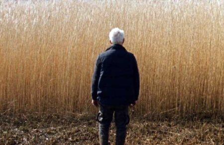 diagonismos-tvxs-kerdiste-proskliseis-gia-dyo-tainies-747219