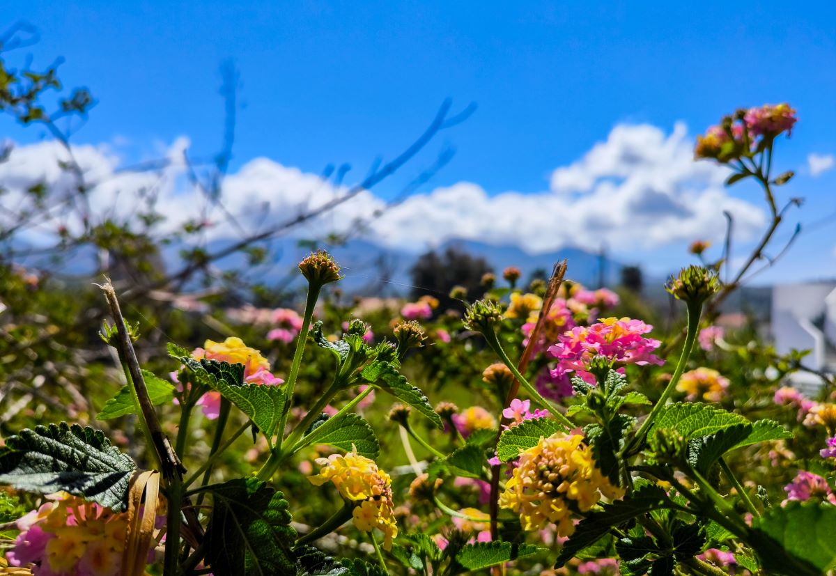  (ΓΙΩΡΓΟΣ ΚΟΝΤΑΡΙΝΗΣ/EUROKINISSI)