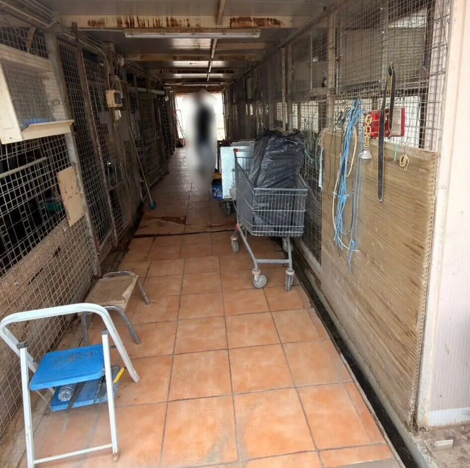 (ΥΠΟΥΡΓΕΙΟ ΠΡΟΣΤΑΣΙΑΣ ΤΟΥ ΠΟΛΙΤΗ - ΓΡΑΦΕΙΟ ΕΝΗΜΕΡΩΣΗΣ & ΕΠΙΚΟΙΝΩΝΙΑΣ / EUROKINISSI)