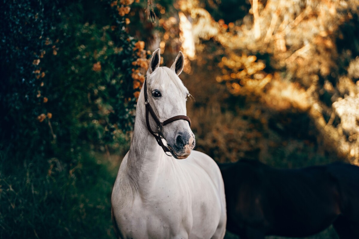 Unsplash