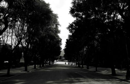 zappeio-treis-syllipseis-nearon-meta-apo-omofoviki-epithesi-kata-trion-politon-774443