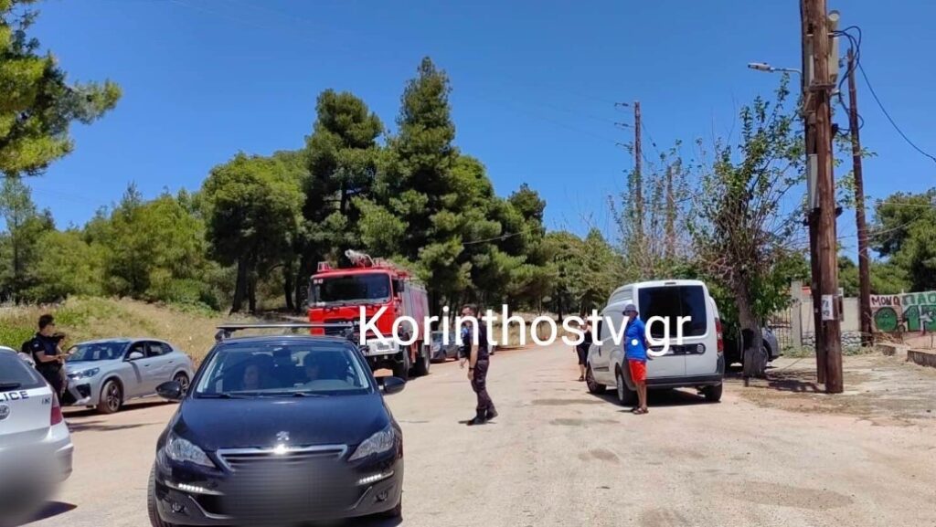 Κορινθία / Δασική φωτιά στο Αμόνι