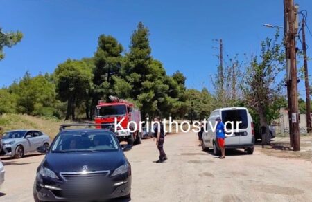 korinthia-dasiki-fotia-sto-amoni-ichise-to-112-782823
