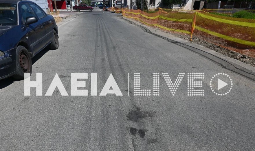 Γαστούνη / «Θέμα χρόνου» θεωρείται η σύλληψη του δράστη της εν ψυχρώ δολοφονίας του σκύλου