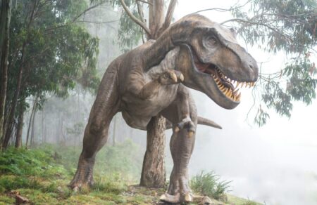 t-rex-sto-sfyri-mia-dimoprasia-me-times-rekor-poy-pyrodotei-antidraseis-788742