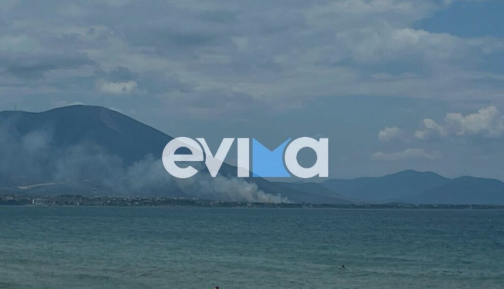 Χαλκίδα / Μεγάλη φωτιά κοντά σε σπίτια [Βίντεο]