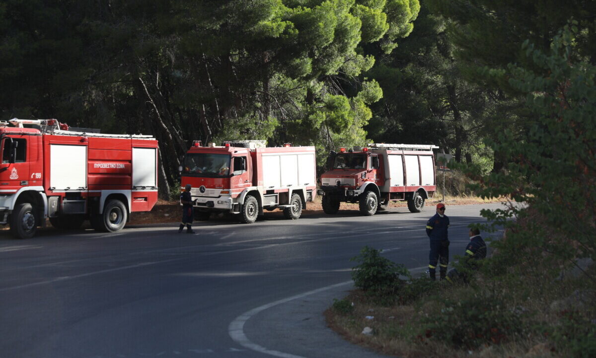 Χαλκιδική / Απαγόρευση κυκλοφορίας σε δασικές περιοχές λόγω υψηλού κινδύνου πυρκαγιάς