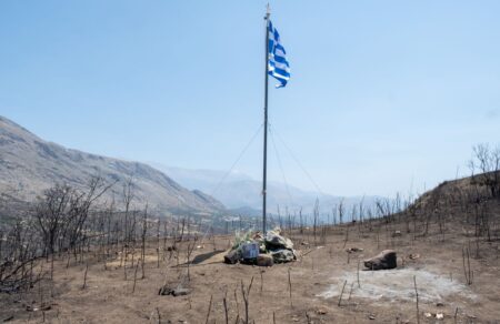 Φωτιές / Στάχτη έως και 100.000 στρέμματα δάσους – Πώς ξημέρωσε σε Αττική, Βοιωτία, Φωκίδα