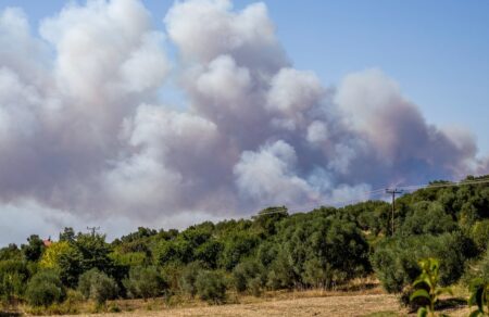 foties-ekkenonontai-siviri-kai-foyrka-sti-chalkidiki-pyrina-metopa-se-aitoloakarnania-ileia-kai-voiotia-802809