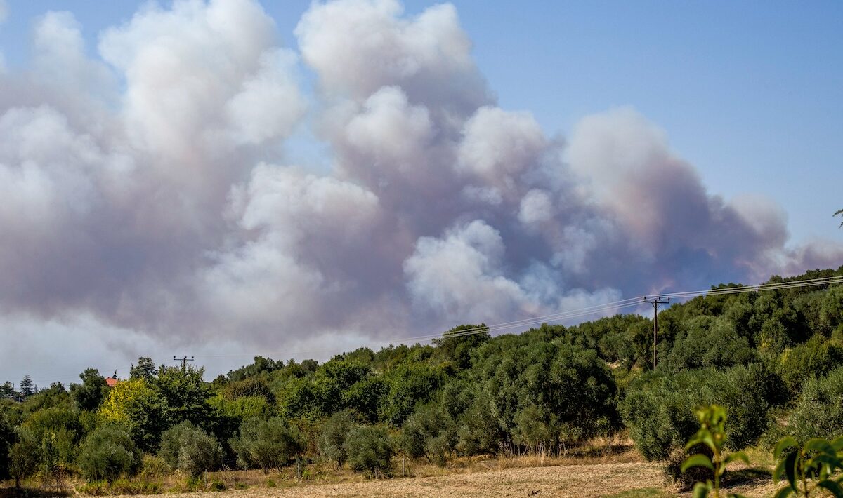 Πυρκαγιά στη περιοχή Σιβήρη στη Χαλκιδική.  Πέμπτη 13 Αυγούστου 2026  (ΔΗΜΗΤΡΑ ΜΕΡΖΙΕΜΕΚΙΔΟΥ / EUROKINISSI)