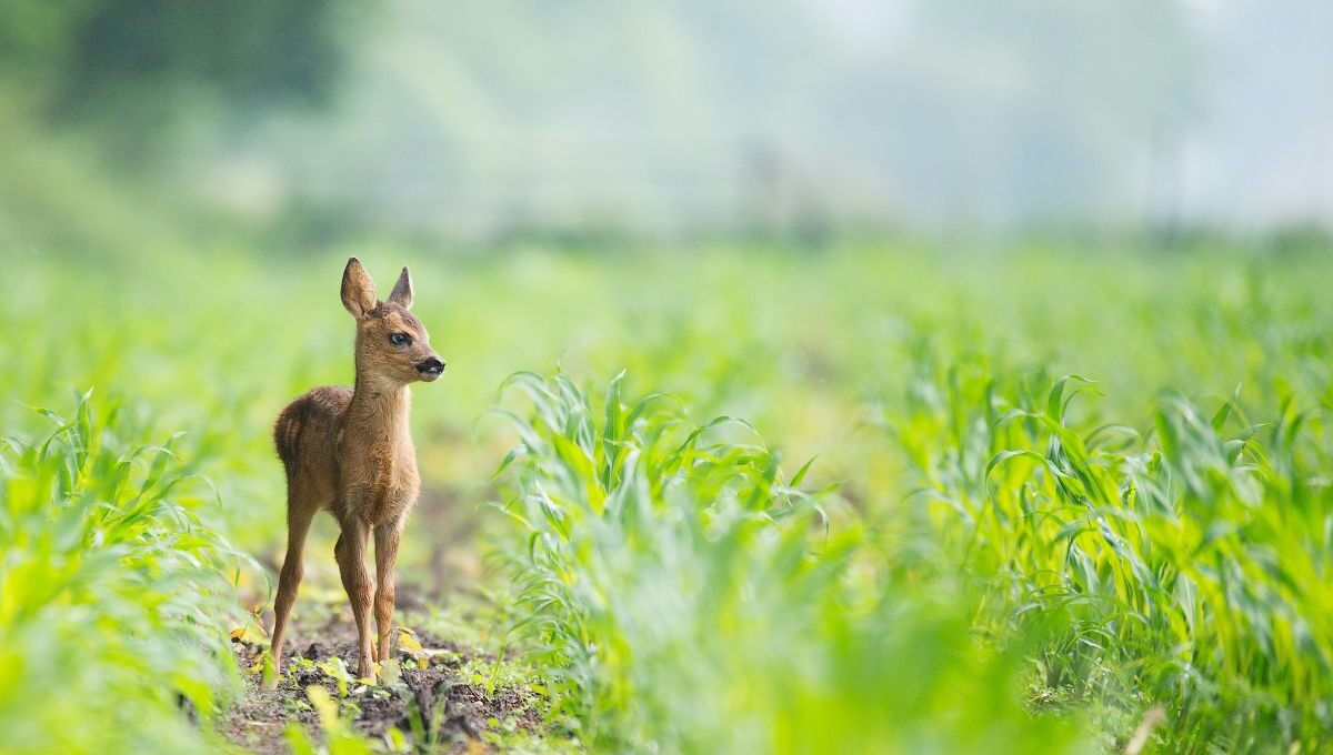 @Unsplash